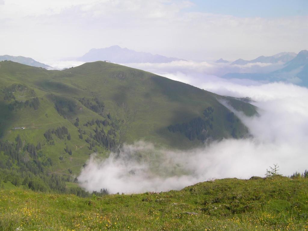 Haus Stablerkraemer Maria Alm am Steinernen Meer Dış mekan fotoğraf